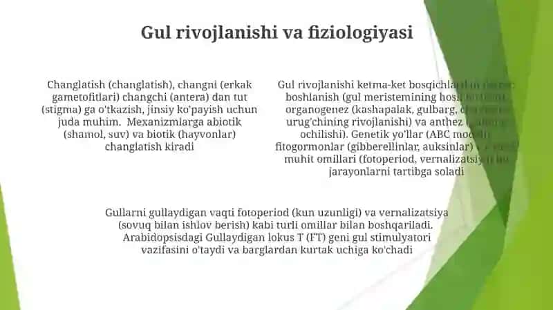Oʻsimliklarning gullashi va changlanishi 4