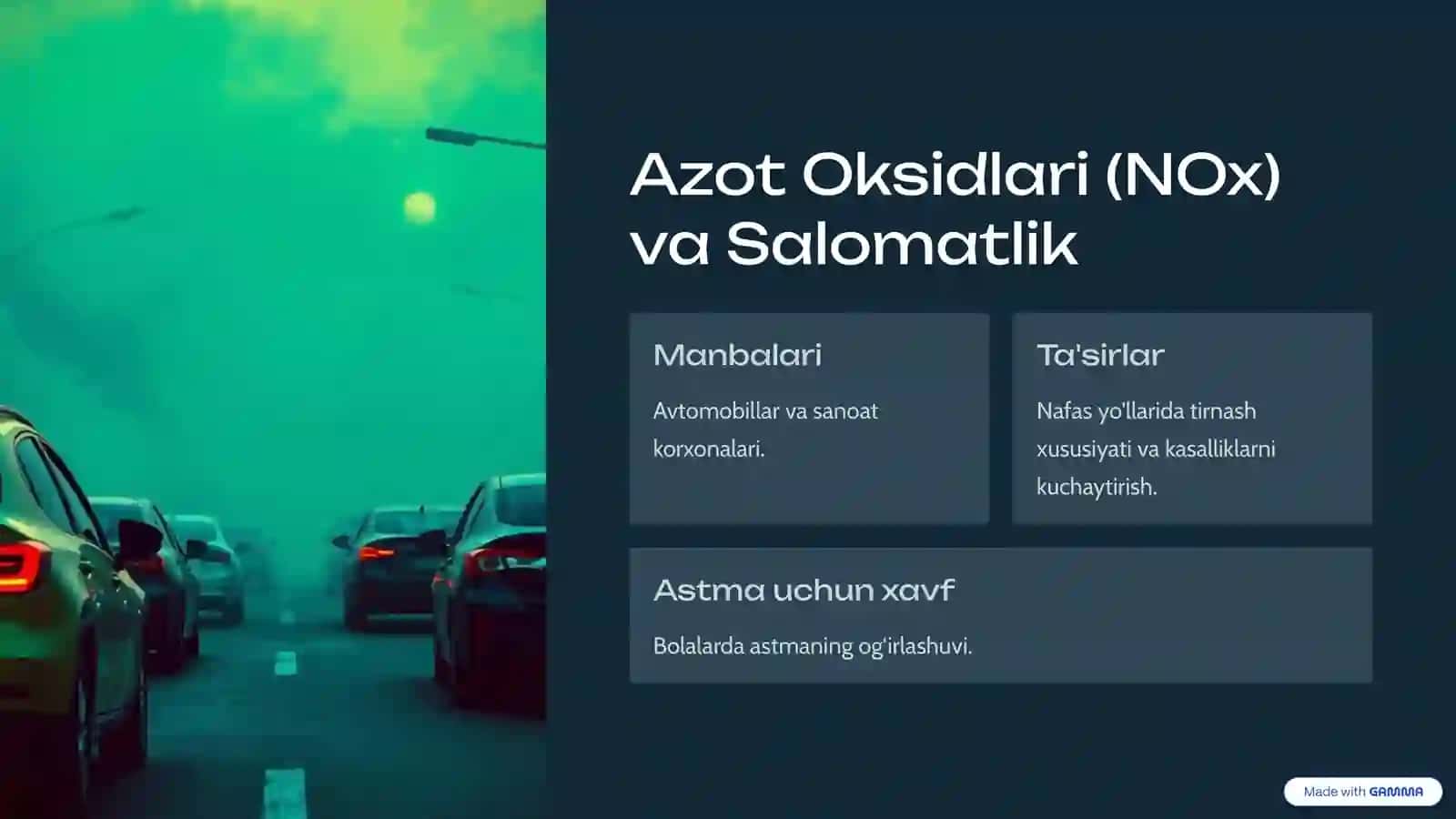 Gazlar va Inson Salomatligi 4