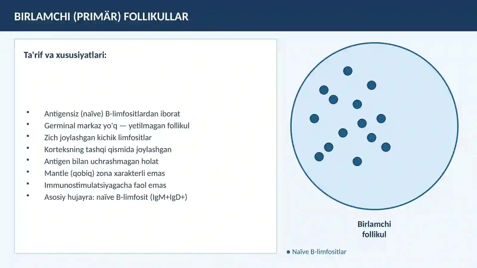 LIMFA TUGUNLARI 4