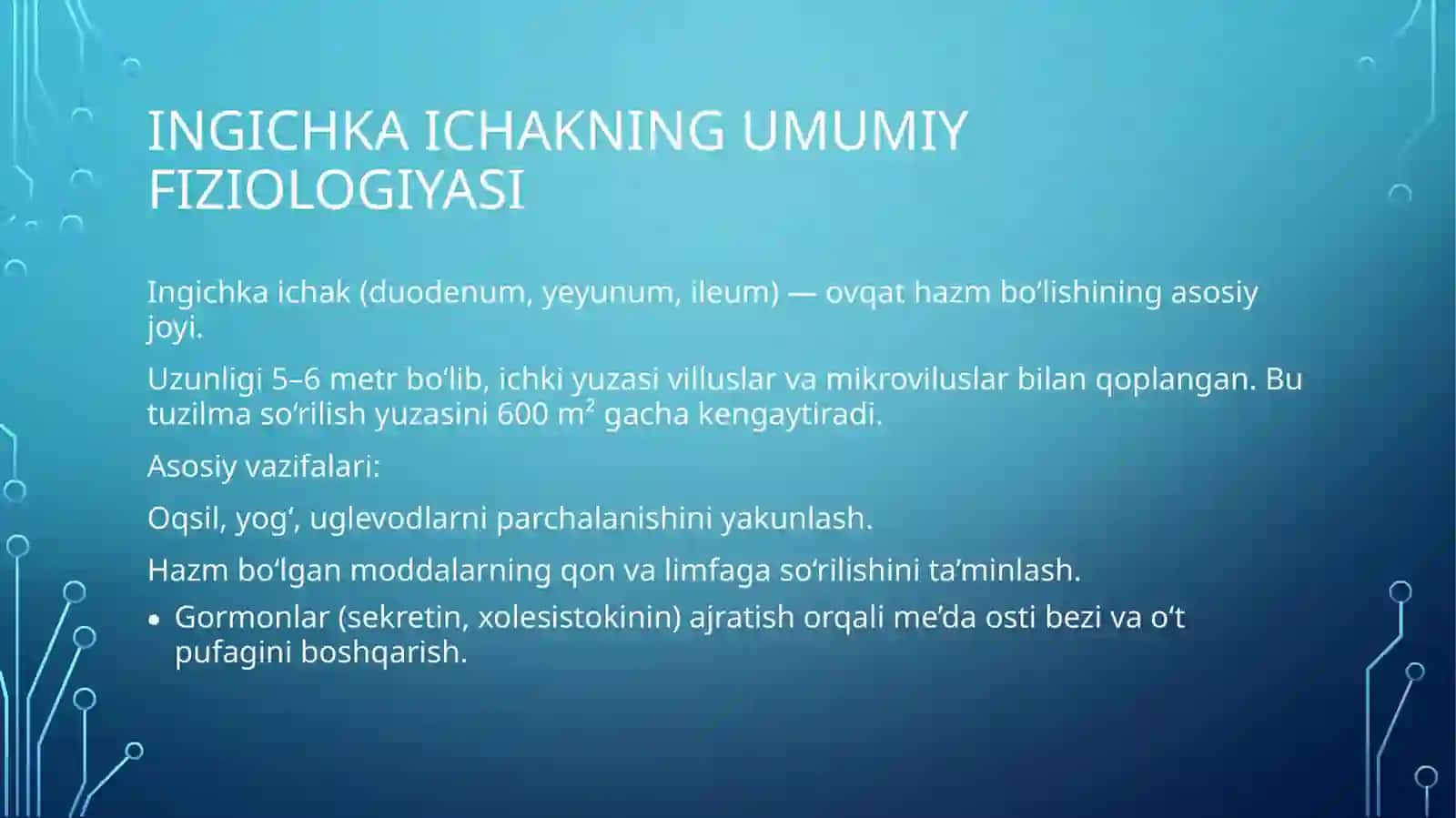 Ovqat hazm qilish tizimi 4