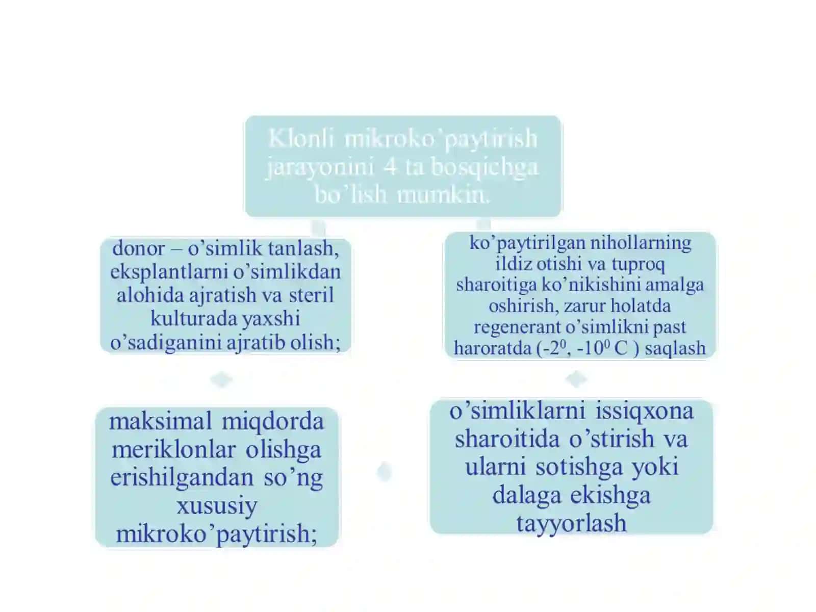 O'Simlik hujayralari muhandisligi 4