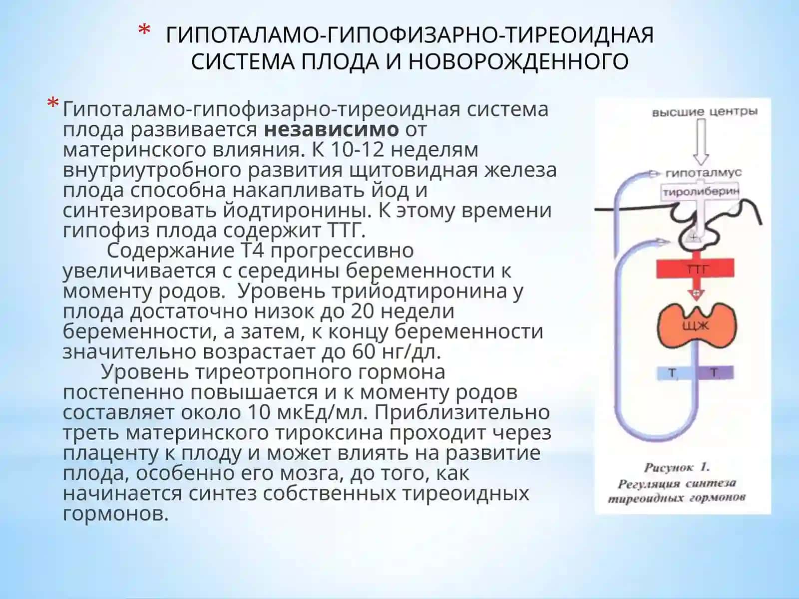 Врожденный гипотиреоз 4