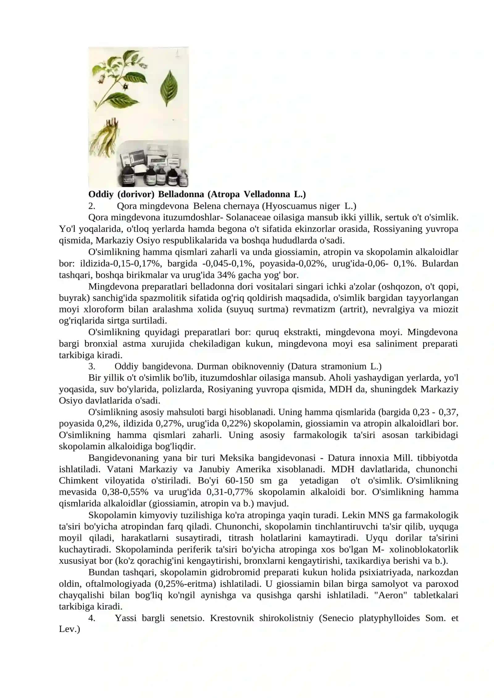 MA'RUZA-10 Belladona, bangidevona, mingdevona o'simlik preparatlari 4