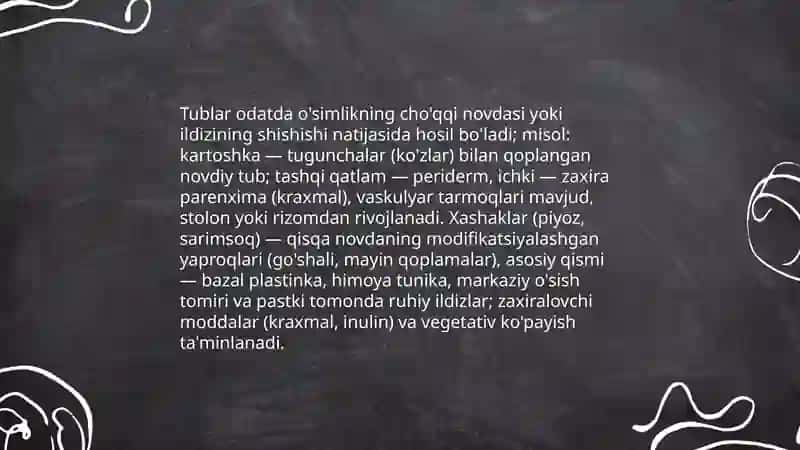Tubdan o'simliklar bo'limi 4