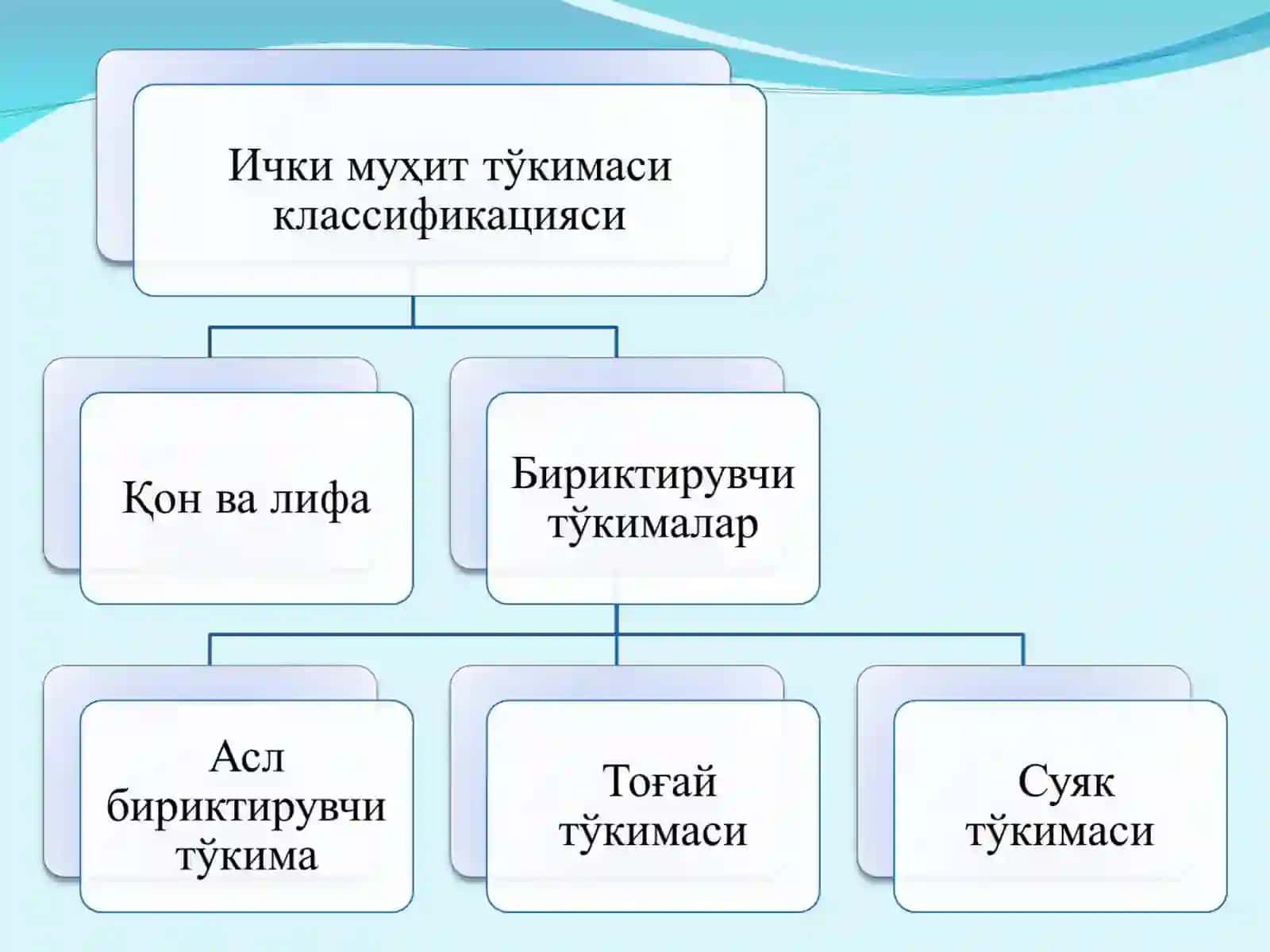 Мавзу. Ички муҳит тўқималари.Қон Режа 4