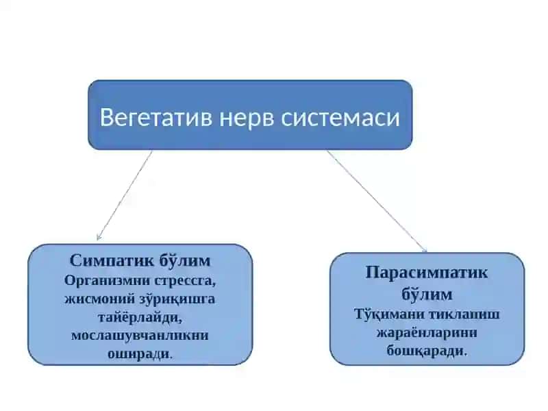 Фармакология 4