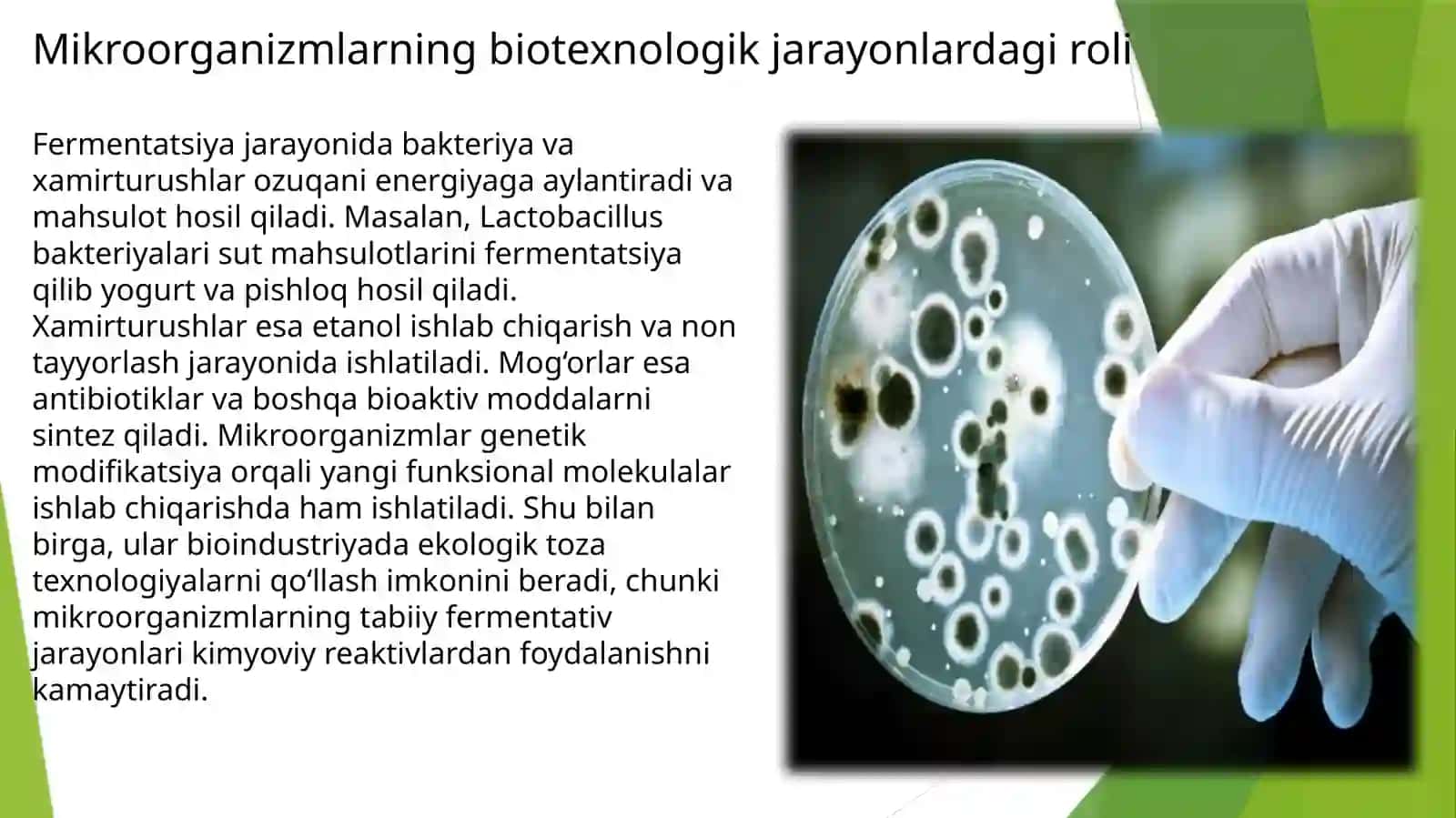 Mikroorganizmlar biotexnologiyasi 4