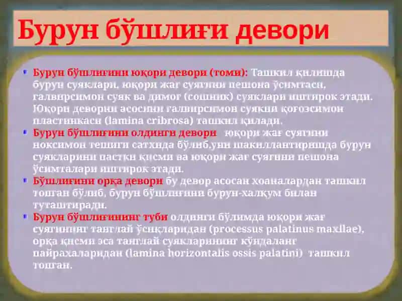 БУРУН, БУРУН ЁНДОШ БЎШЛИҚЛАРИНИНГКЛИНИК АНАТОМИЯСИ 4