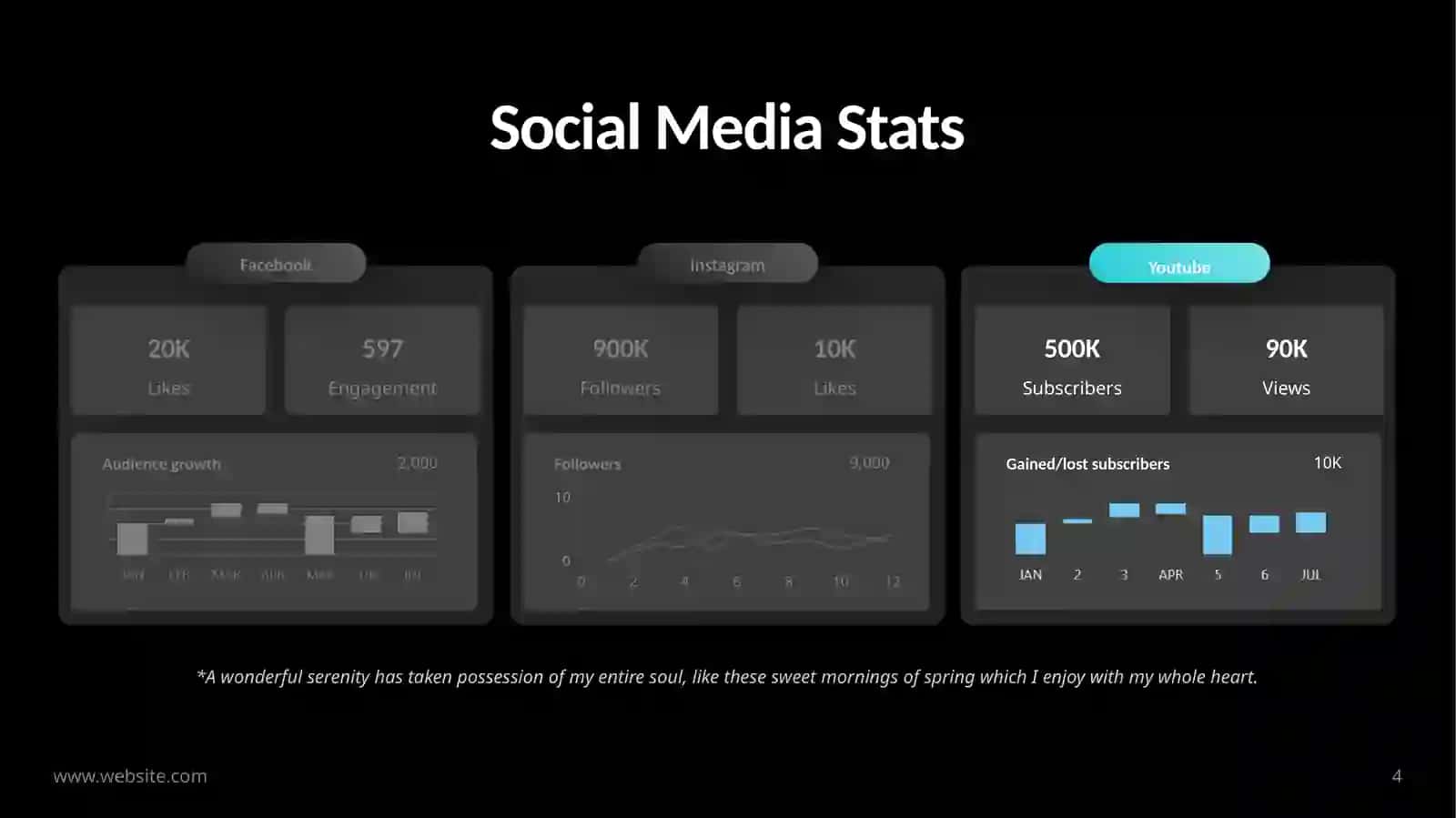 Social Media Stats 4
