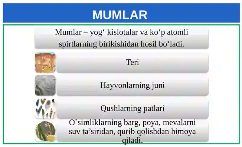 Lipidlar 4