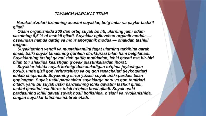Odam anatomiyasi va fiziologiyasi. 4