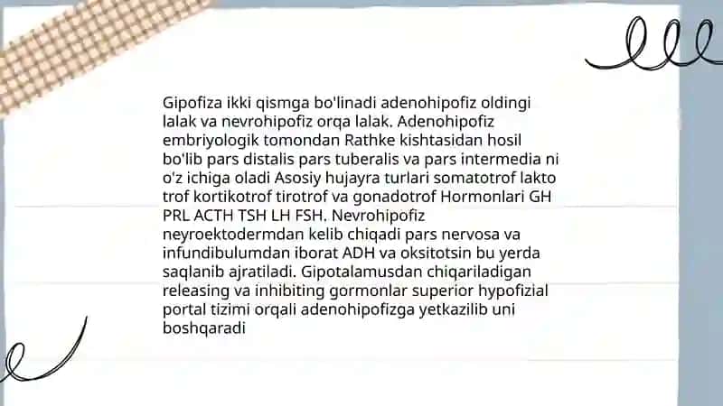 Gipotalamus-gipofizar tizim 4