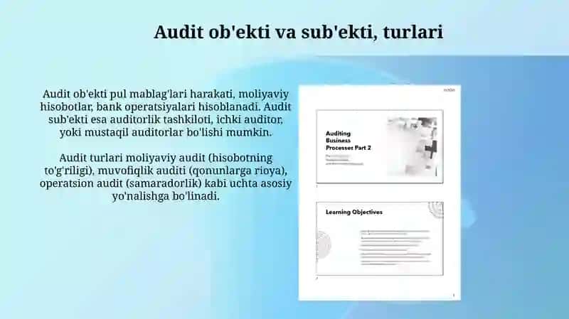 Pul Mablag'lari Harakati Auditi 4