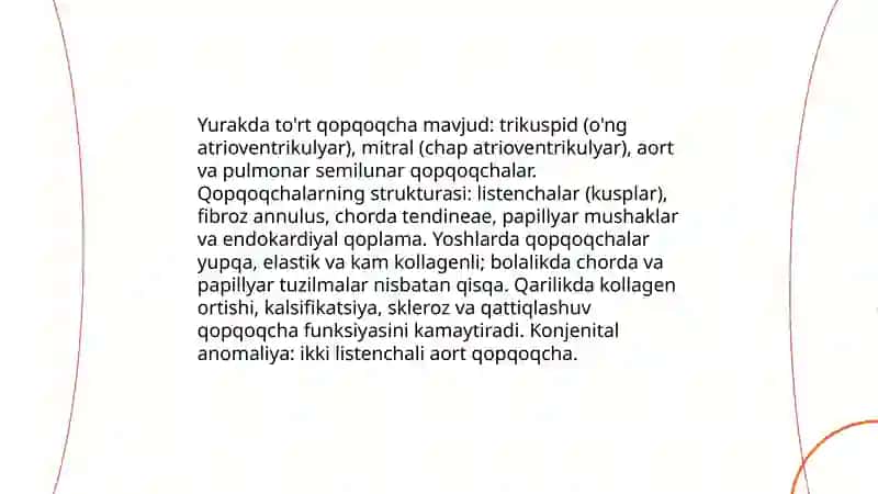 Yurakning tuzilishi, yoshga xos xususiyatlari 4