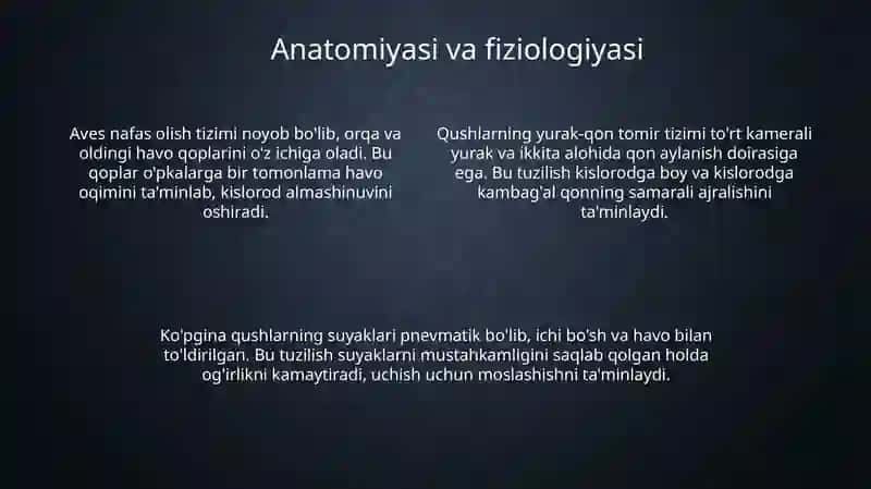 Biologiya (Qushlar sinfi) 4