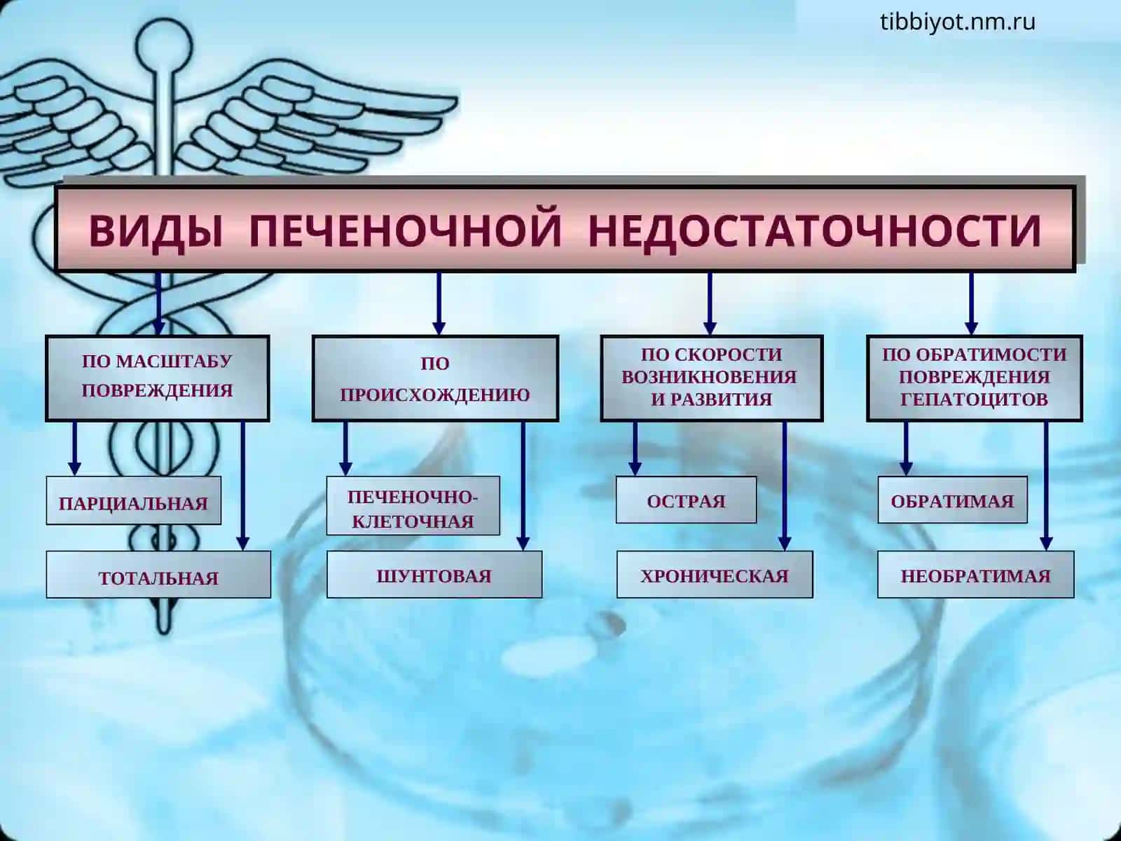 ПАТОФИЗИОЛОГИЯ 4
