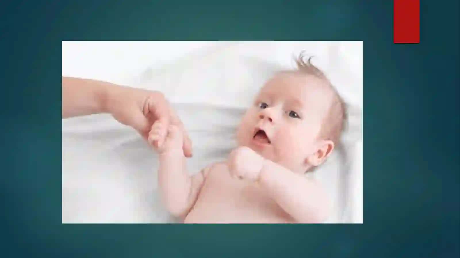 BOLLARDA ORQA MIYA ANATOMO – FIZIOLOGIK XUSUSIYATLARI 4