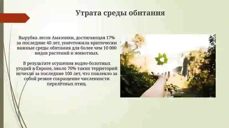 Охрана природа 4