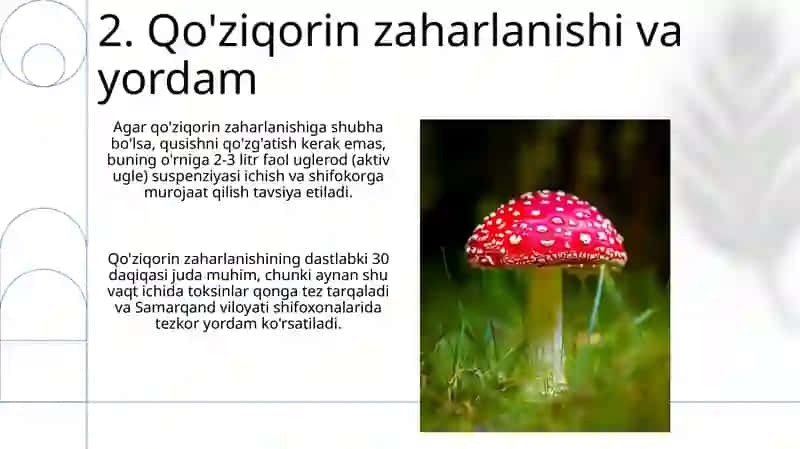 Zamburugʻlar va ularning turlari 4