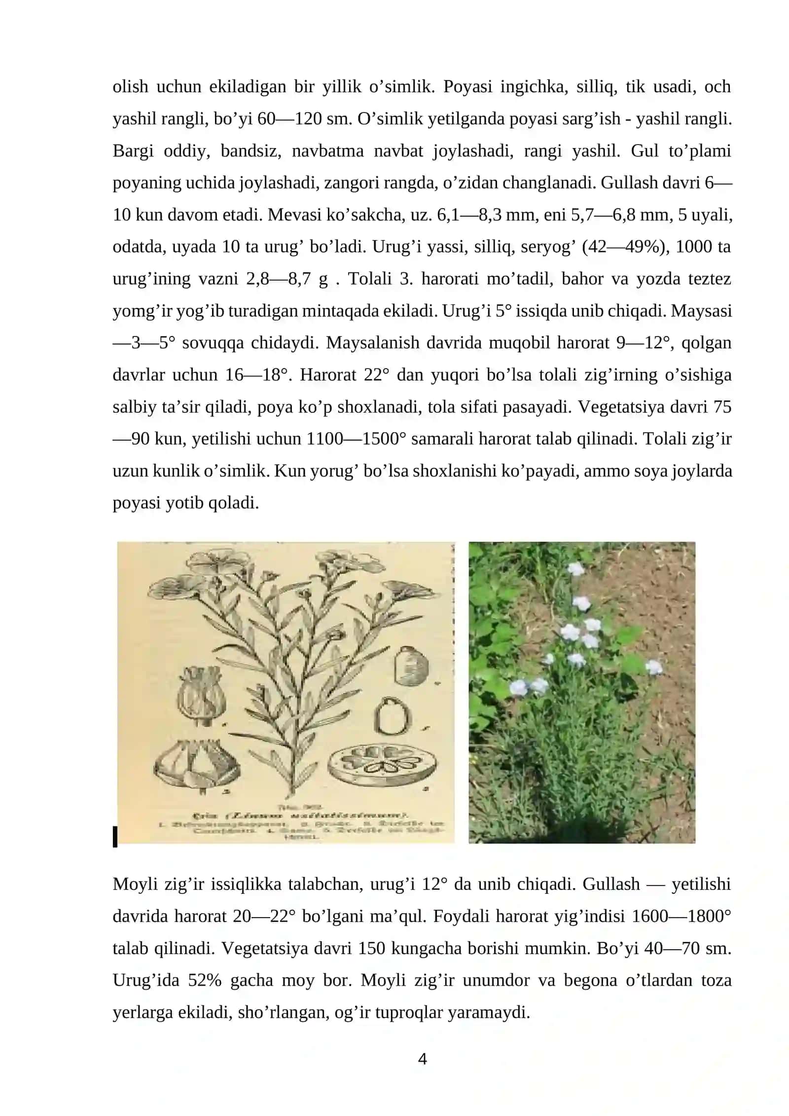 ZIG’IRGULLILAR QABILASI 4