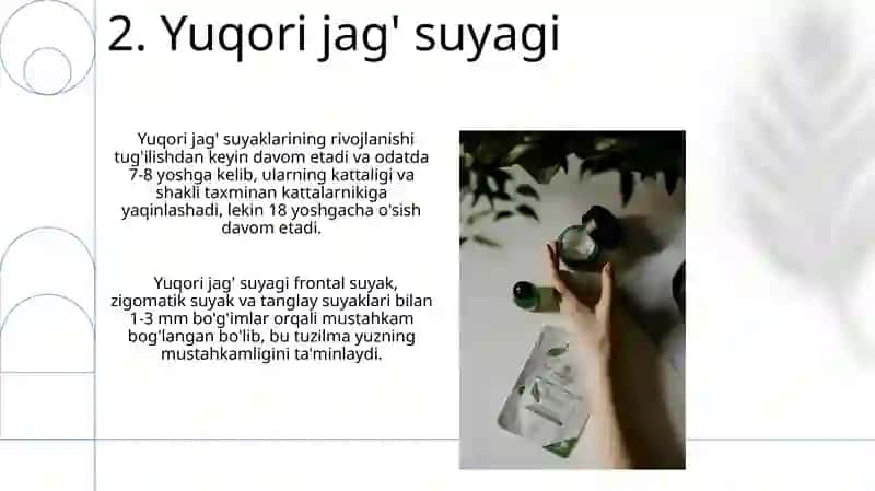 Yuz suyaklari 4