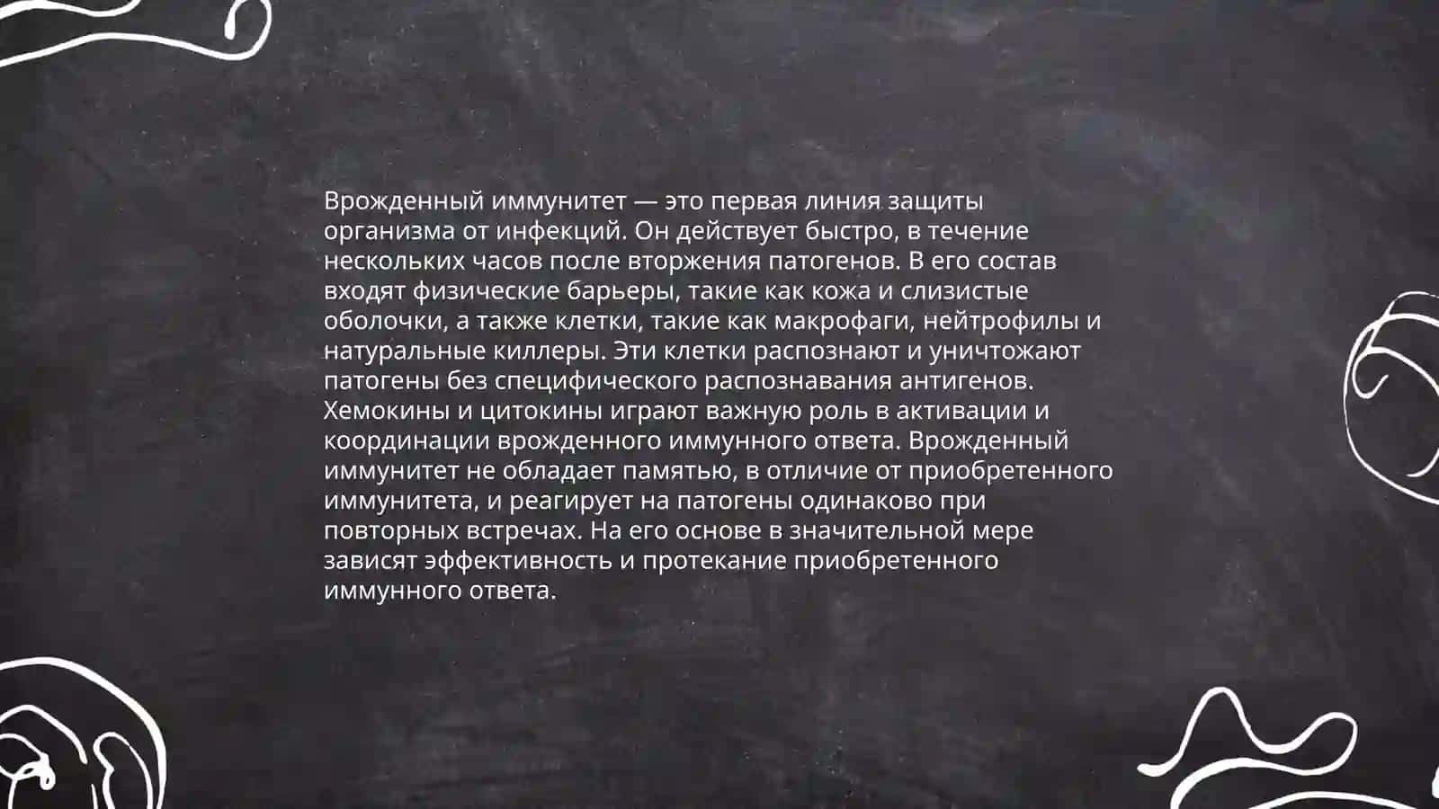 Иммунная система 4