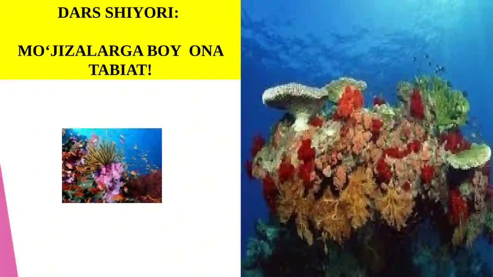 QO‘NG’IR VA QIZIL SUVO’TIARI 4