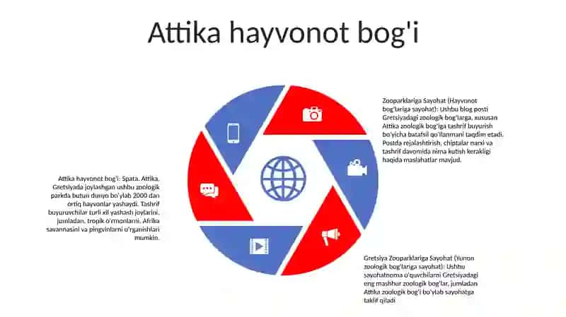 Afina hayvonot bog'i 4