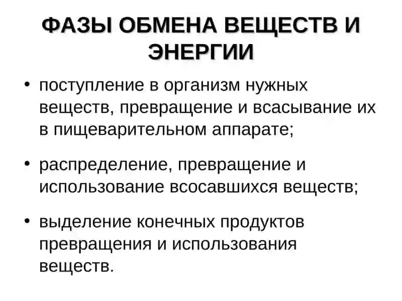 ФИЗИОЛОГИЯ 4