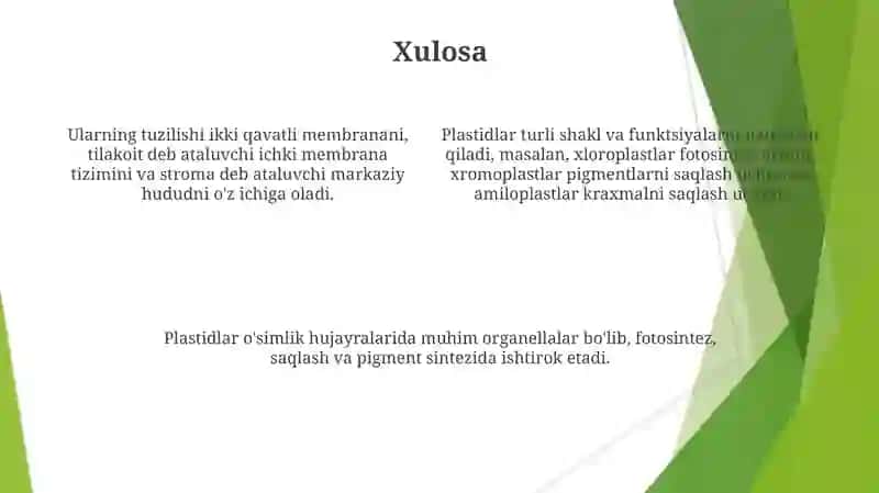 Plastidalar va ularning tuzilishi 4