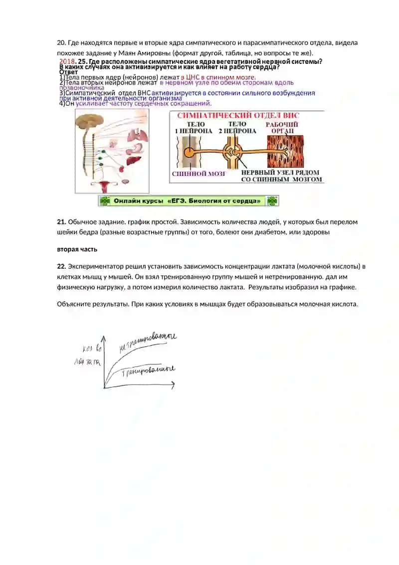 Признаки живого 4
