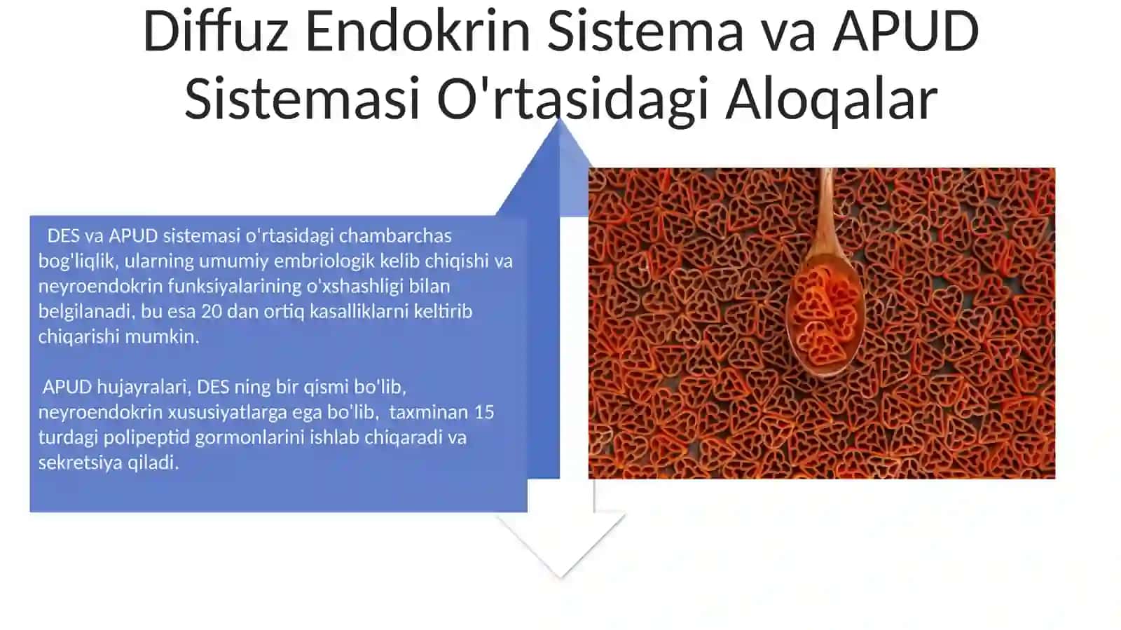 Diffuz endokrin tizim. APUD tizimning hujayralari 4