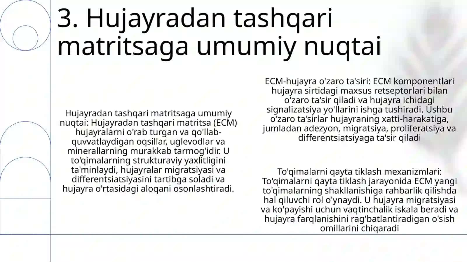 Yallig’Lanishning Tizimli Tasirlari 4