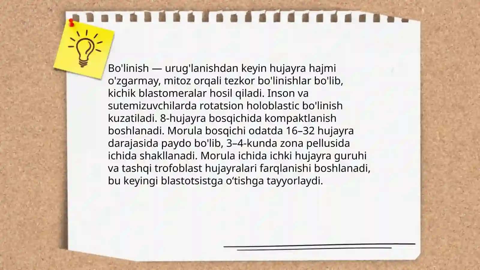 Embrional rivojlanish Bobojonov Umidjon 4