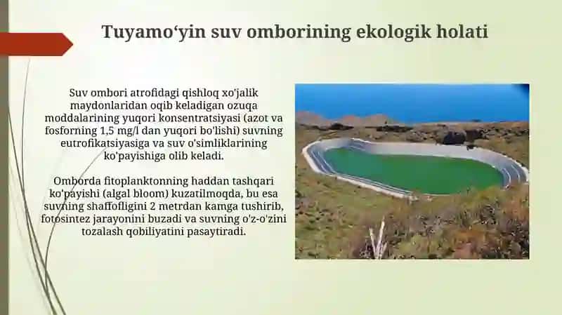 Tuyamo'yin suv ombori 4