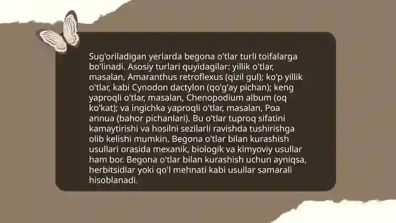 Sug'oriladigan yerlarda o'sadigan begona o'tlar 4