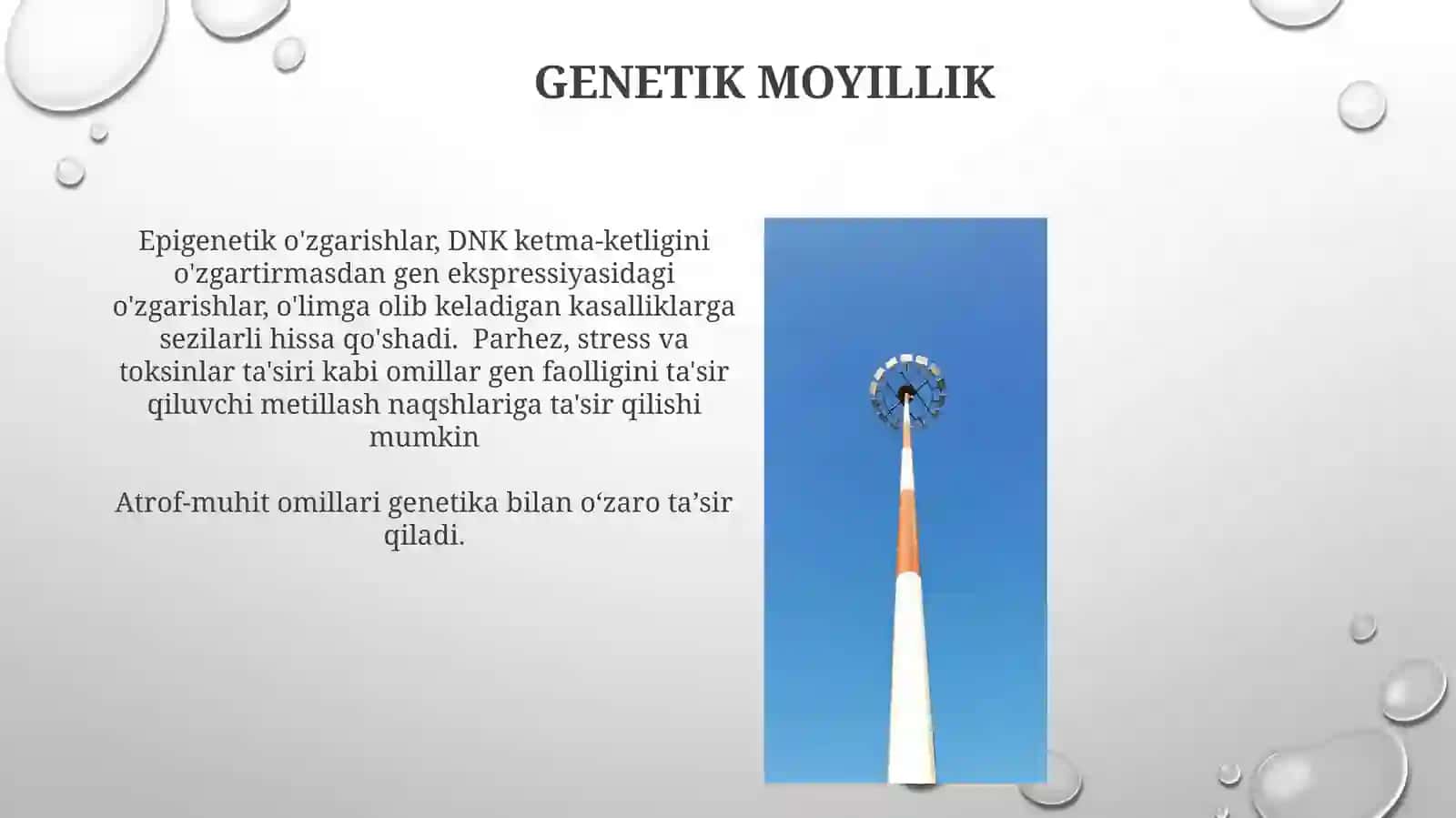 Inson hayotida terminal holatlarning kelib chiqish sabablari 4