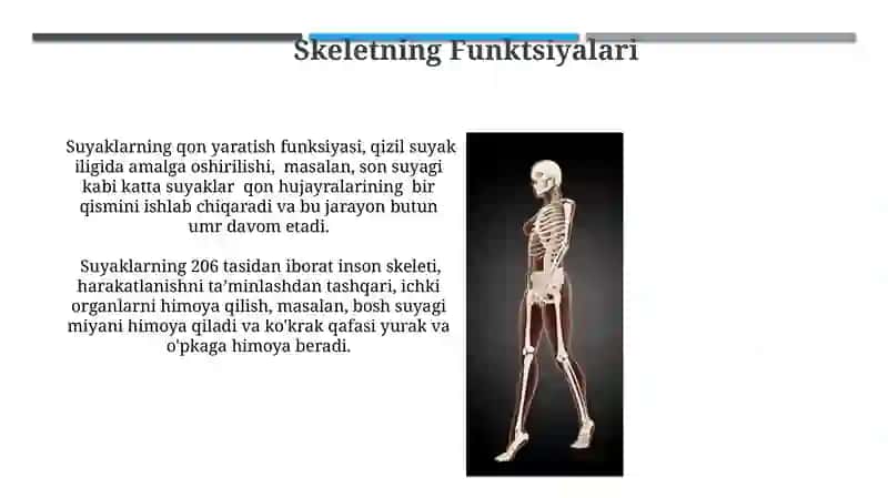 Filogenetika va osteoporoz 4