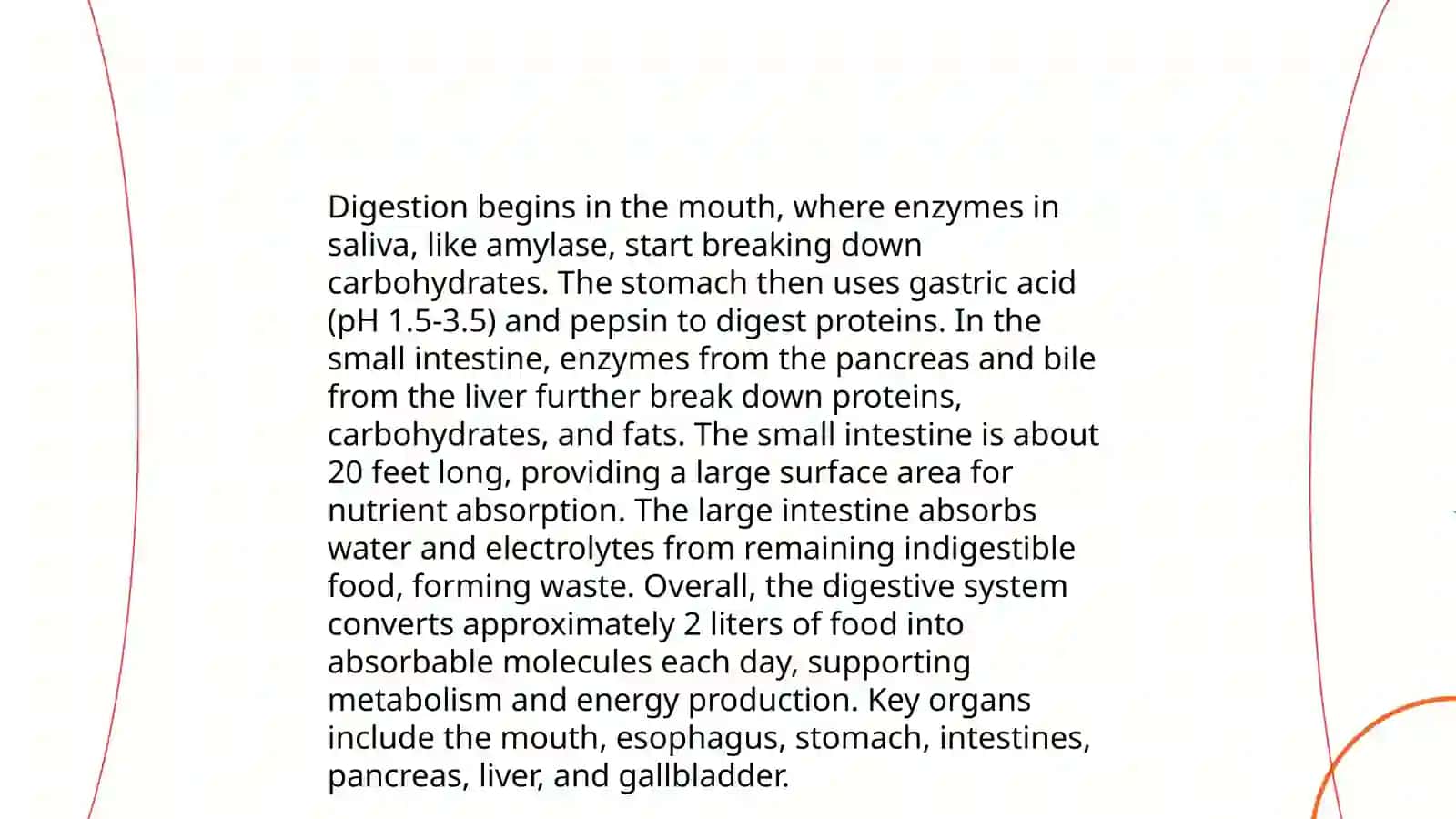 Anatomy of the Alimentary Tract 4