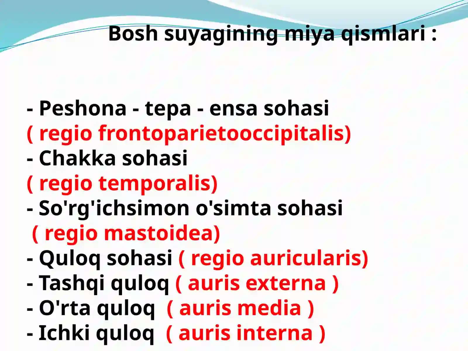 Boshsohasining klinika anatomiyasi 4