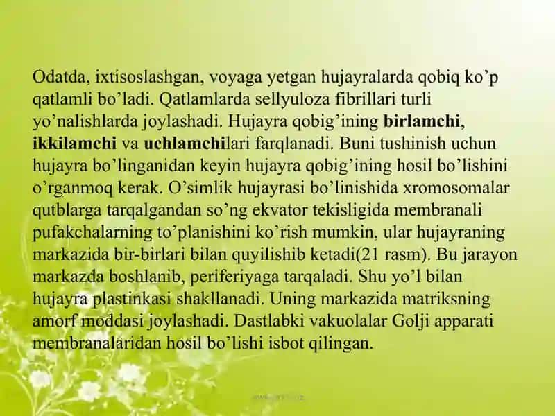 Hujayra poʻstining hosil boʻlishi va tuzilishi 4
