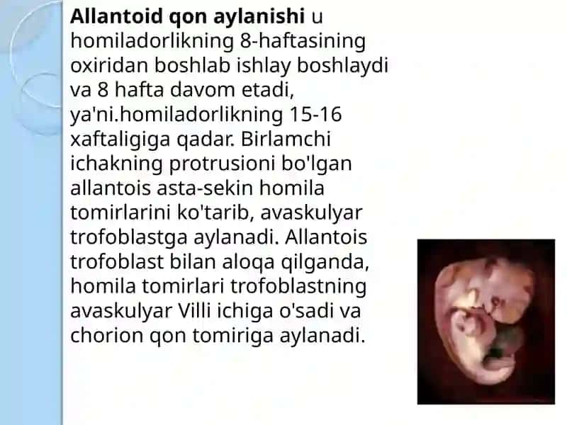 Xomilaning qon aylanishi 4