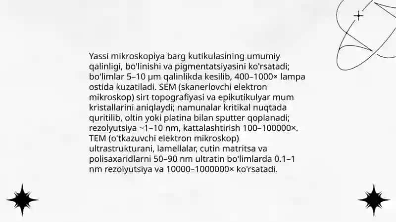 Barglar kutikulasi 4