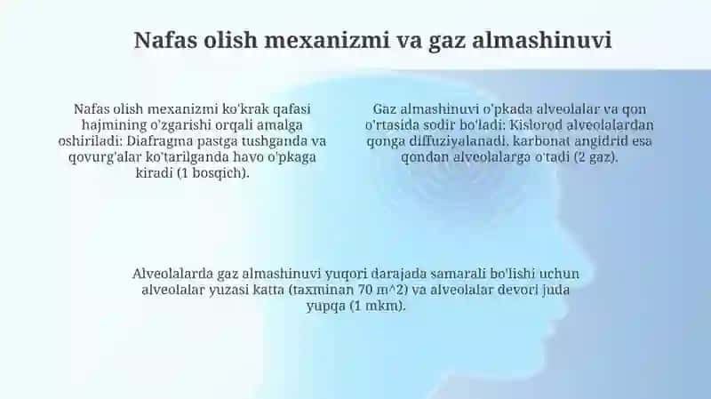 Nafas olish organlarim 4