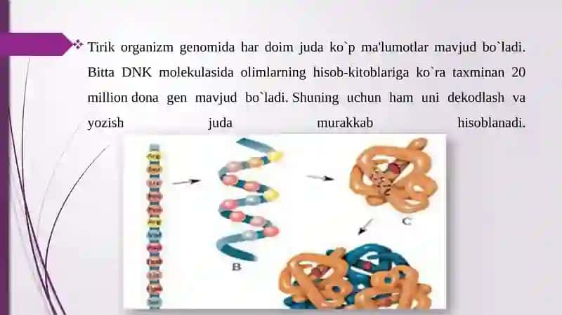 Genom strukturalari haqida tushuncha 4