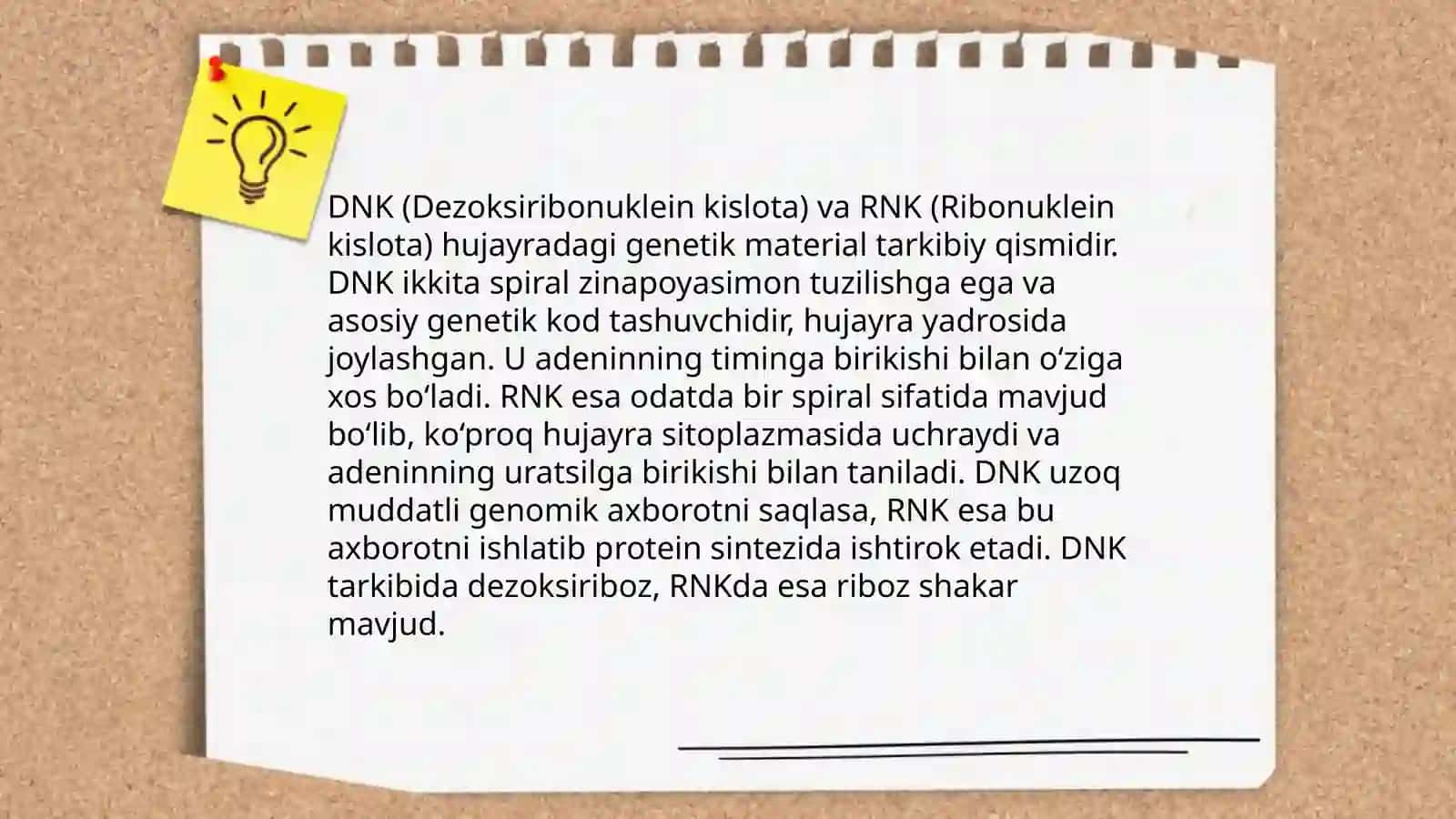 Nuklein kislotalar 4
