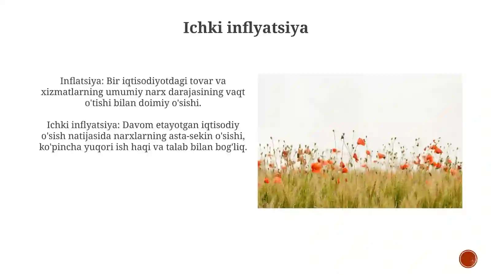Inflatsiya, uning mohiyati va turlari 4