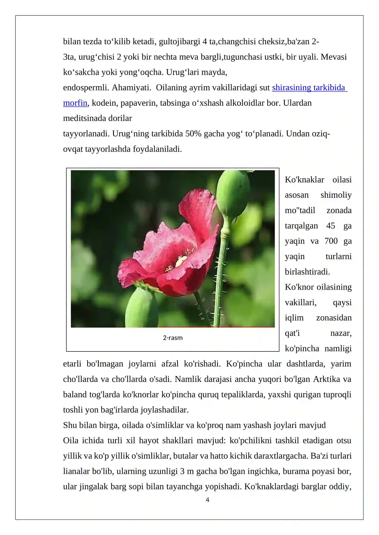 Ko’knoridoshlar oilasi 4