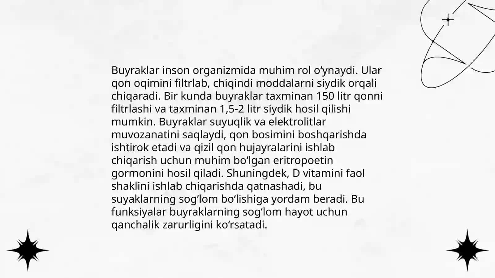 Buyrak anatomiyasi 4