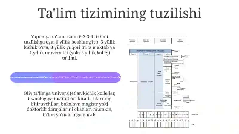 Yaponiya ta'lim tizimi 4